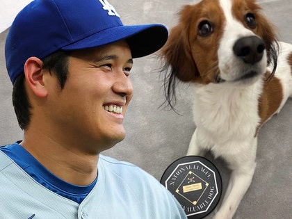 shoehi ohtani dog getty comp