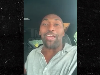 111325 metta world peace primary.jpg