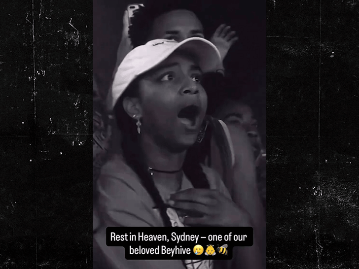 111625_beyonce_fan_stage_primary_v2