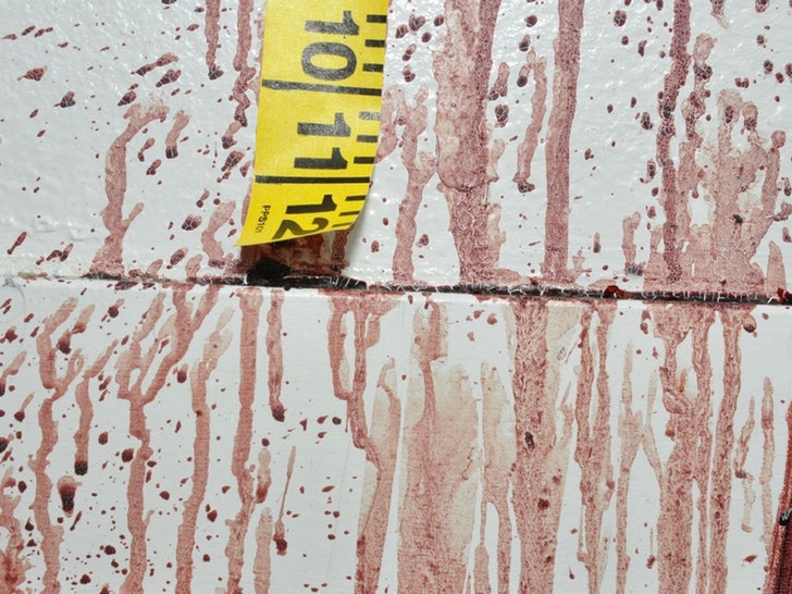 Bryan Kohberger Graphic Crime Scene Photos 0