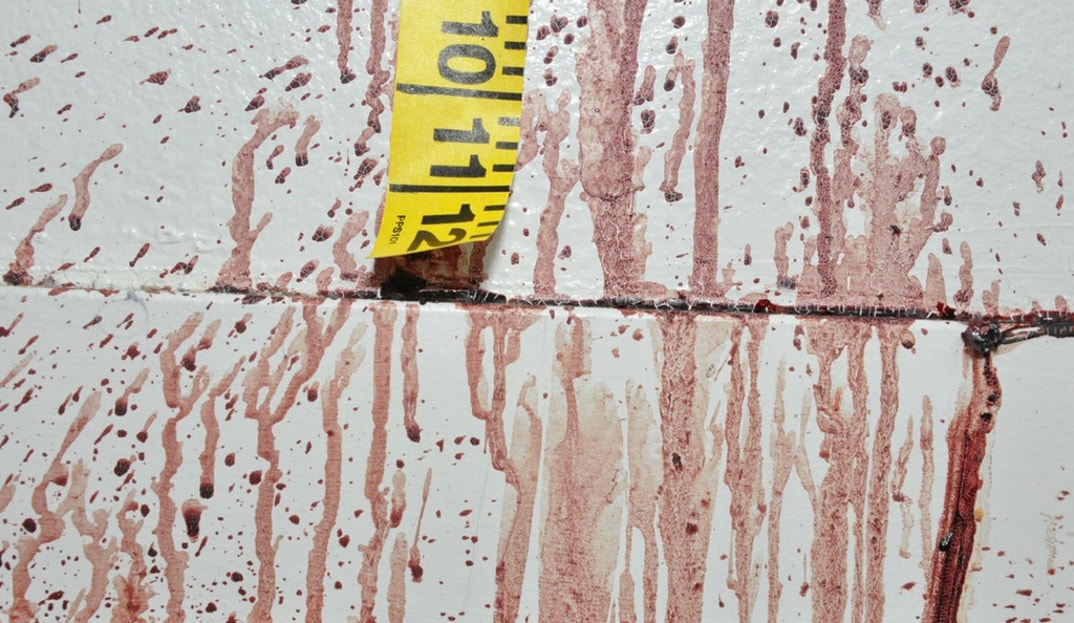 Bryan Kohberger Graphic Crime Scene Photos 0