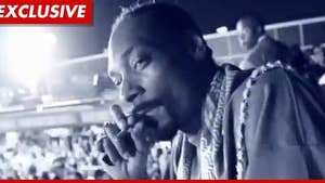 Snoop Dogg -- Crisis in the Middle East ... Over Weed