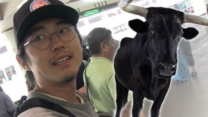 'Walking Dead' Star Steven Yeun -- Zombie Meat's No Match for Bull Wang