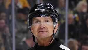 NHL Referee Fired Over Hot Mic Comments, 'I Wanted to Get Penalty Against Nashville'