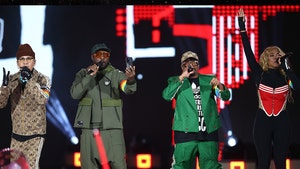Black Eyed Peas Wear Rainbow Armbands During NYE Poland Show