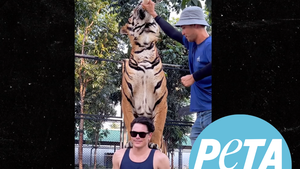 Tom Sandoval Scolded by PETA for Posing with Tiger at Thailand Zoo