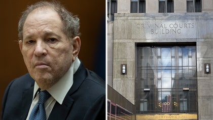 042725_brian_andrews_harvey_weinstein