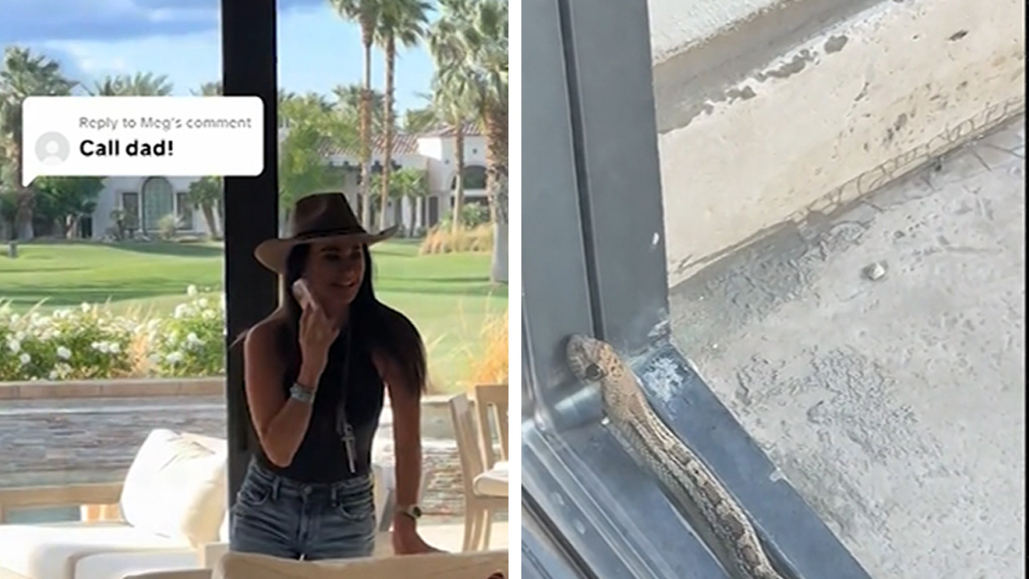 Kyle Richards Calls Ex Mauricio Umansky to Get Snake Out of House, on Video