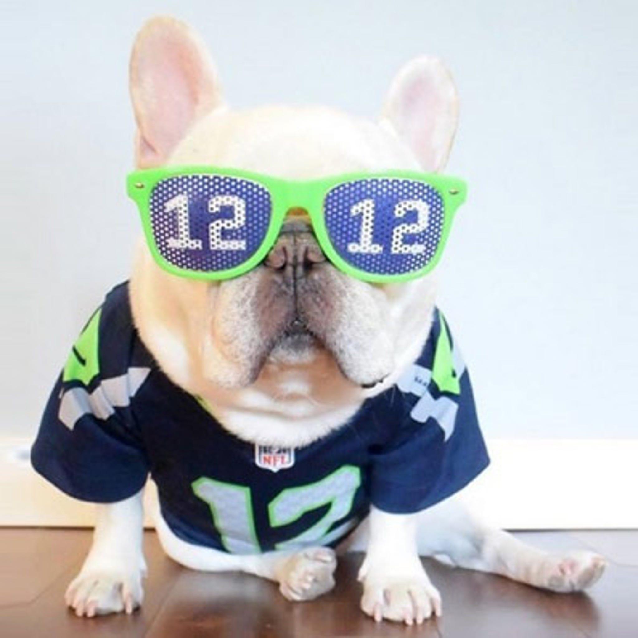 Seattle Seahawks All I Need Is My Dog & Football – Fan Creations GA