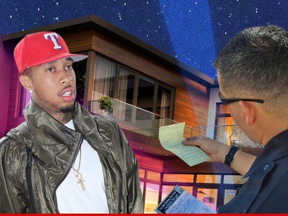 0514-tyga-house-party-fines-fun-art-TMZ-GETTY01