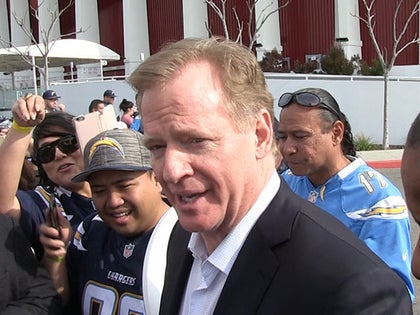 011817_roger_goodell_primary