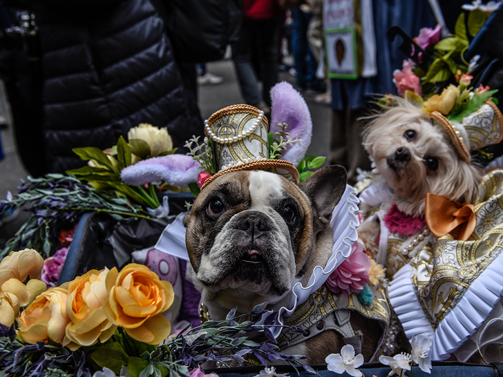 NYC's Easter Bonnet Parade Draws Wild Outfits, 'Tis the Season!