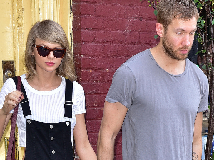 Taylor Swift and Joe Alwyn Reportedly Split After 6 Years As a Couple