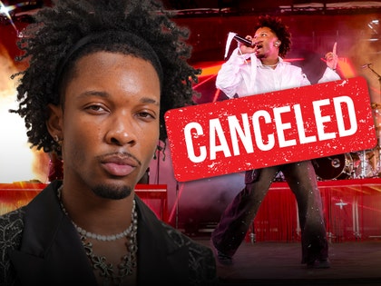 d4vd tour canceled getty 2