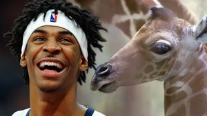 NBA's Ja Morant Gets Baby Giraffe Named After Him At Memphis Zoo, Meet Ja Raffe!