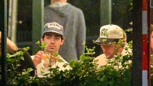 Joe Jonas es visto con su hermano Nick Jonas antes de la demanda de Sophie Turner