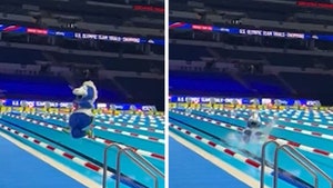 Colts Mascot Plunges Into U.S. Olympic Swimming Trials Pool At Lucas Oil Stadium