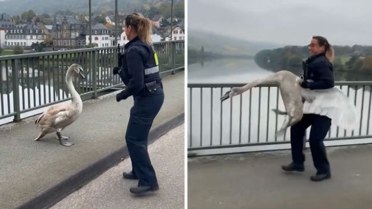 110525_police_grabs_swan_kal