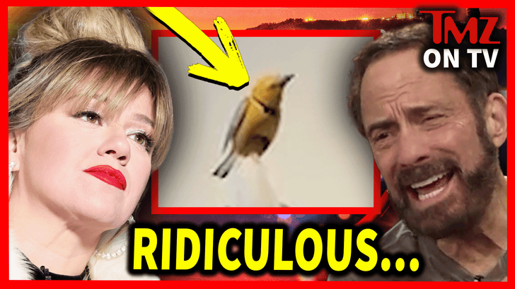 TMZ TV Thumb 10.14.26 V1