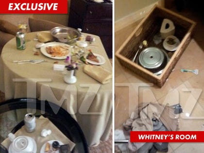 0322_whitney_houston_room_tmz_ex_wm