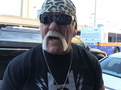 011714_hulk_hogan_primary
