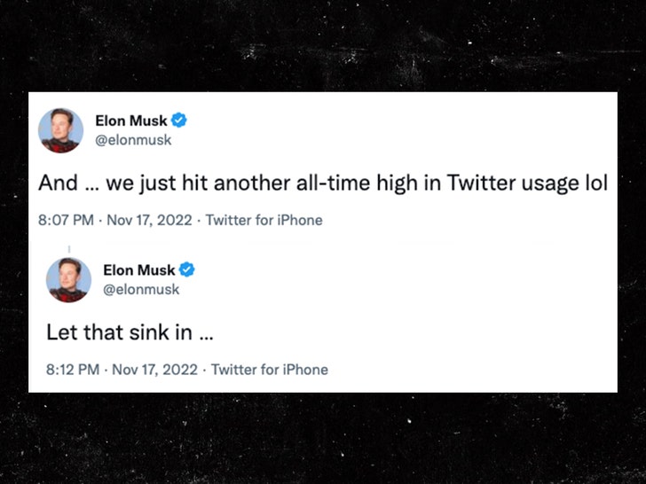 Elon Musk's Twitter a year later: Everything you need to know