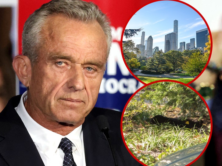 Robert F. Kennedy Jr. Not Under Investigation For Dumping Bear in Park