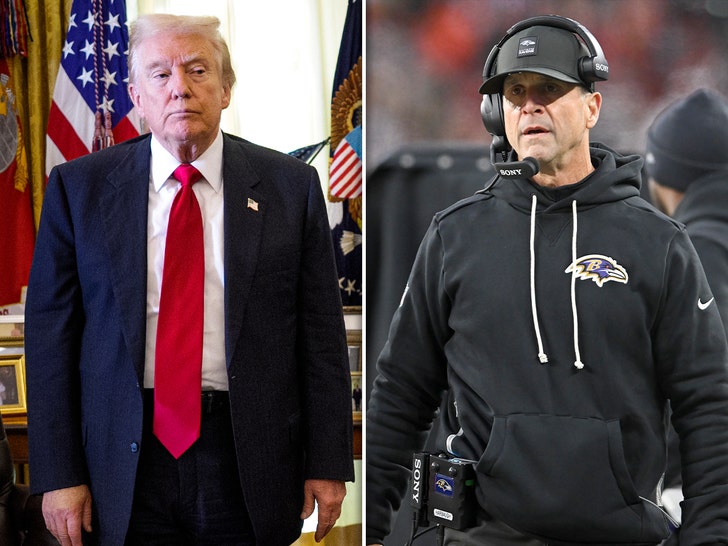 donald trump john harbaugh split sub getty