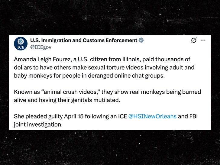 Amanda-Leigh-Fourez-x-1