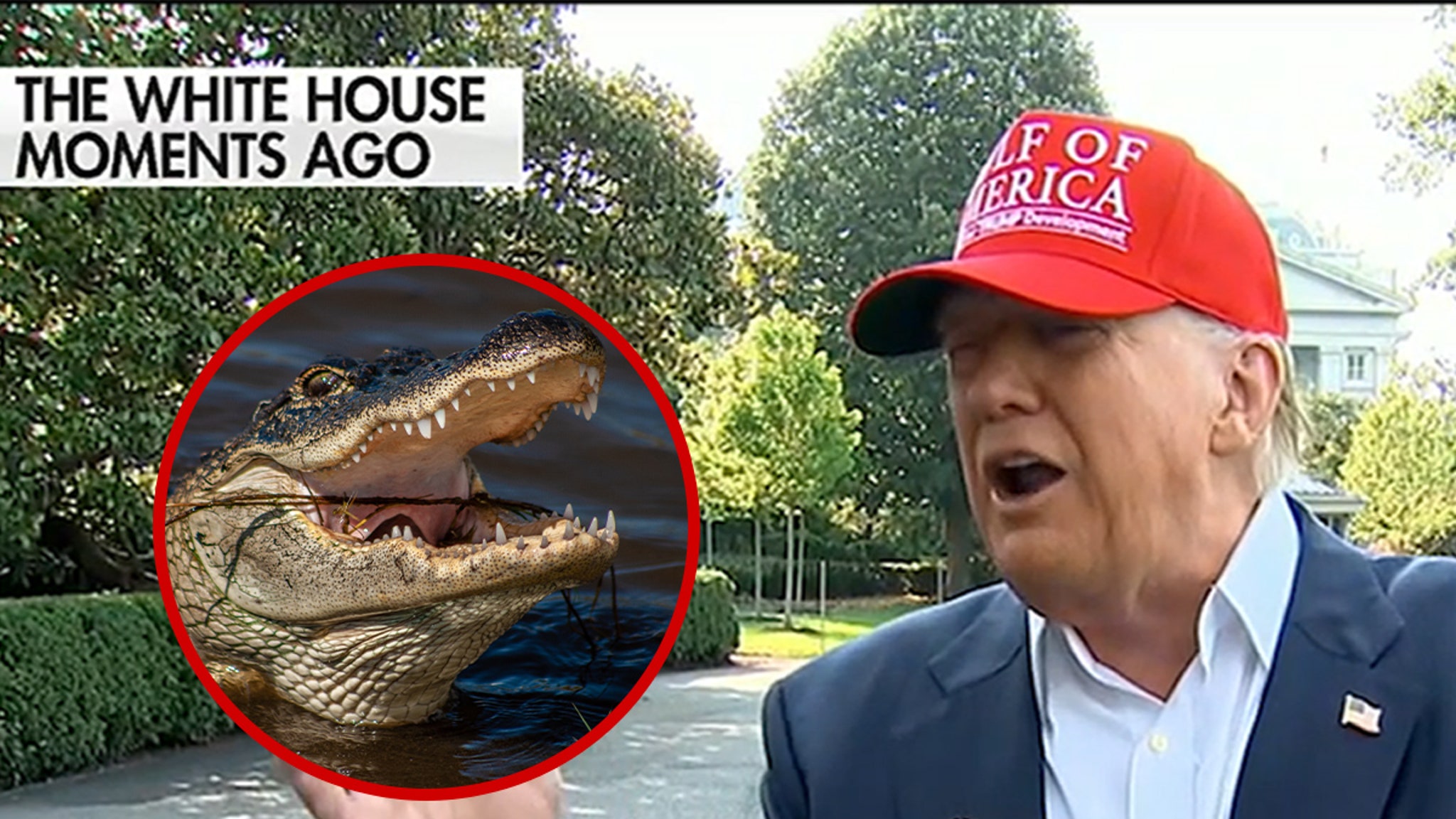 Donald Trump Chuckles About Escaped Prisoners Getting Eaten at 'Alligator Alcatraz'