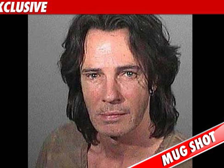 0513-rick-springfield-mug-ex2