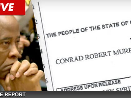 1129_murray_report_ex