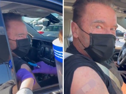 012021-arnold-schwarzenegger-primary