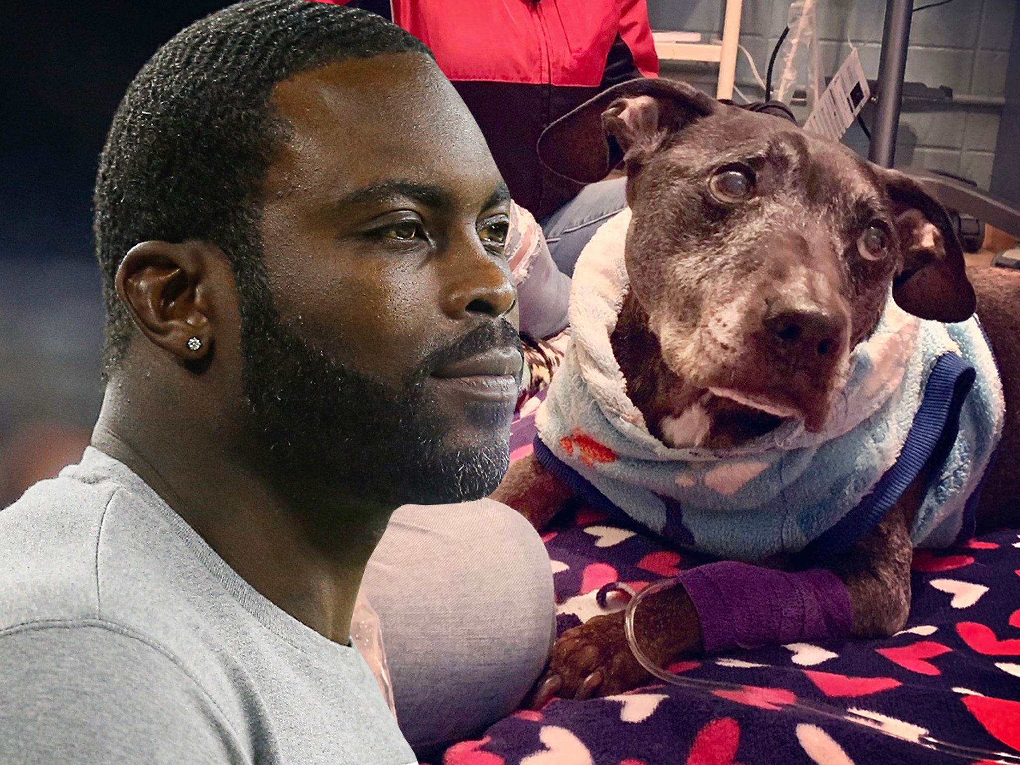 Michael Vick Goes to Jail for Dogfighting