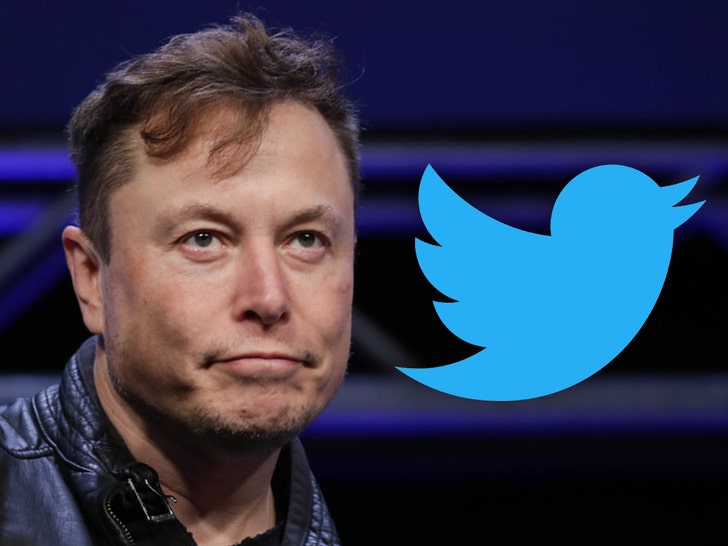 Elon Musk Suggests New Platform Needed In Place of Twitter, Posts Poll