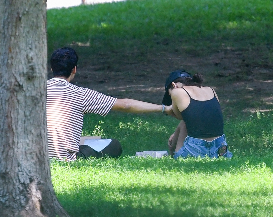 Olivia Rodrigo Park PDA 1