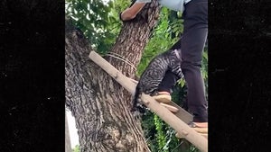 Cat Caught in Tree Clings to Rescuer's Leg, Hilariously Meows