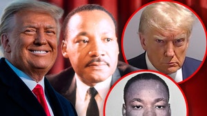 Trump's Mug Shot Compared to MLK on March on Washington's 60th Anniversary