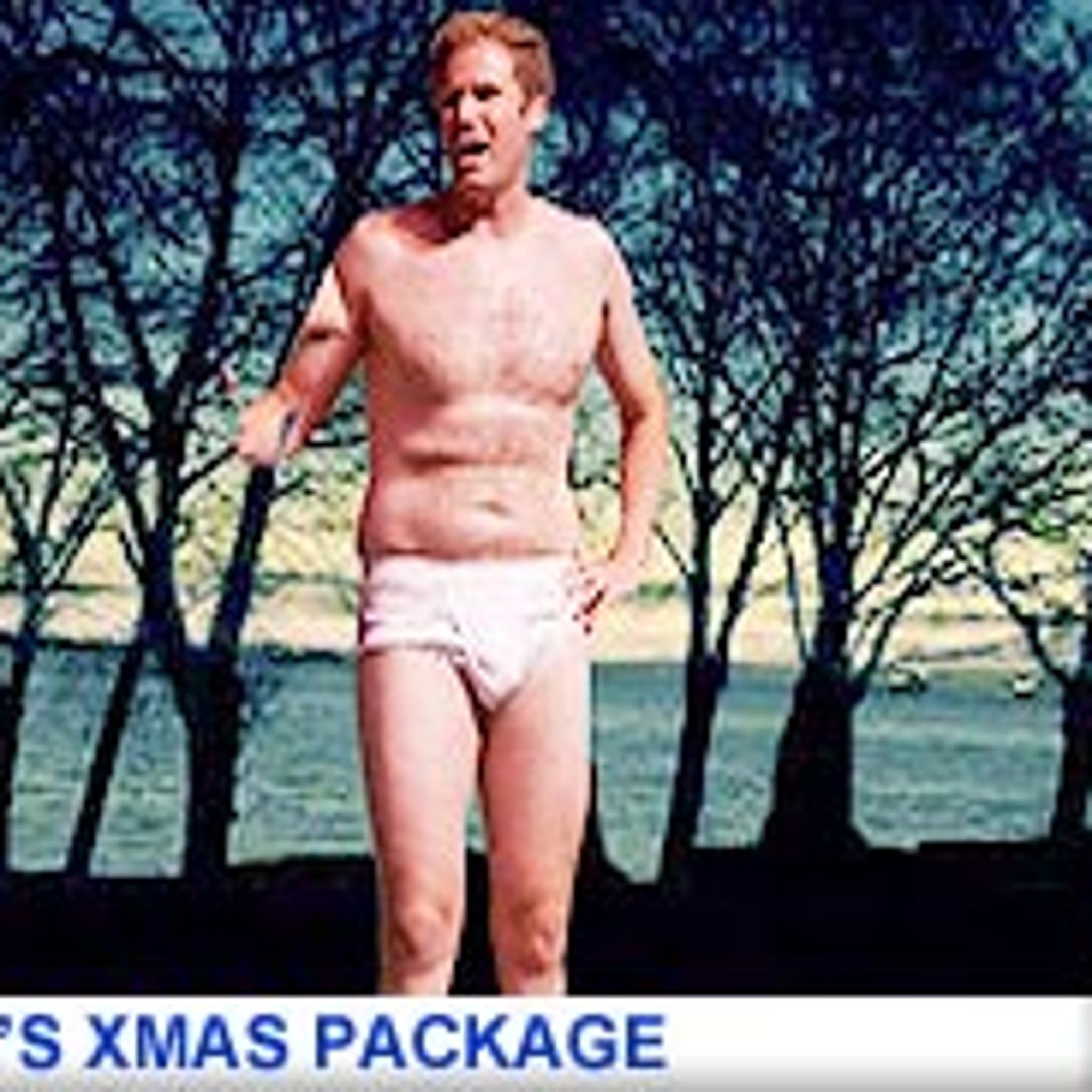 Celebrity Wish List Will Ferrell