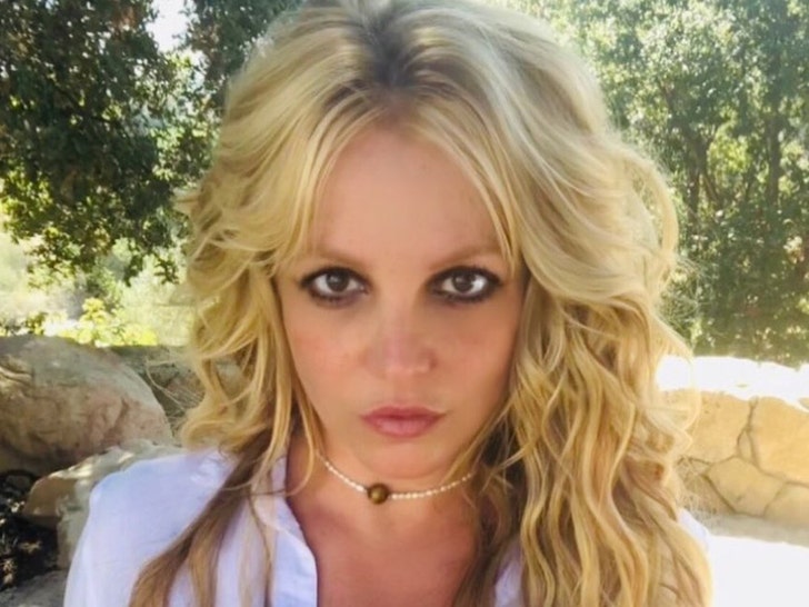 Britney Spears Housekeeper Accuses Her Of Battery Brit Says Nonsense Claim Fabricated