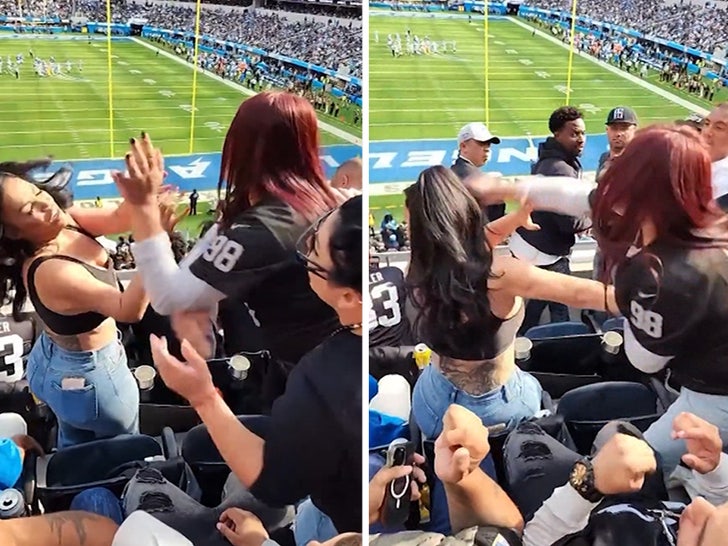 Raiders Fan Socked In Face In Violent Fistfight At Chargers Game