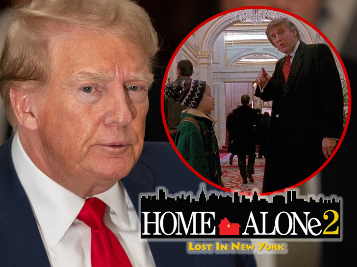 donald trump home alone