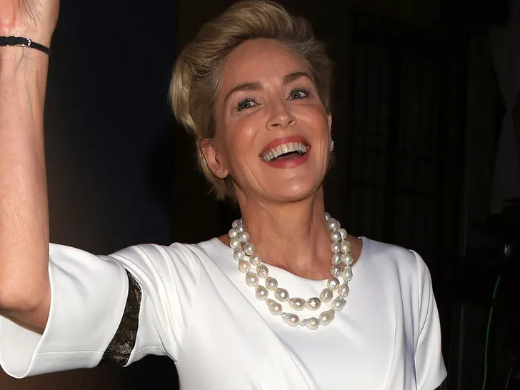 Sharon Stone Through The Years