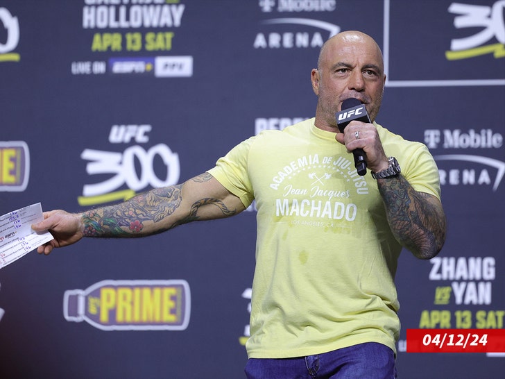 joe rogan getty1