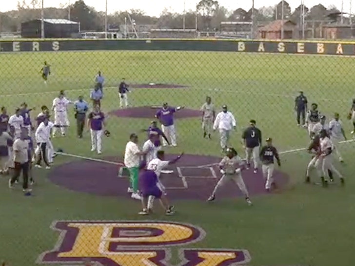 Pvamu vs JSU Baseball Brawl