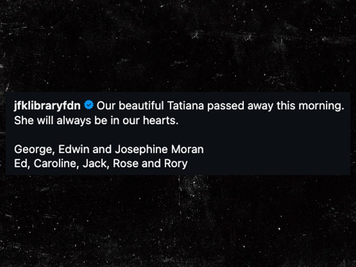 tatiana schlossberg statement insta