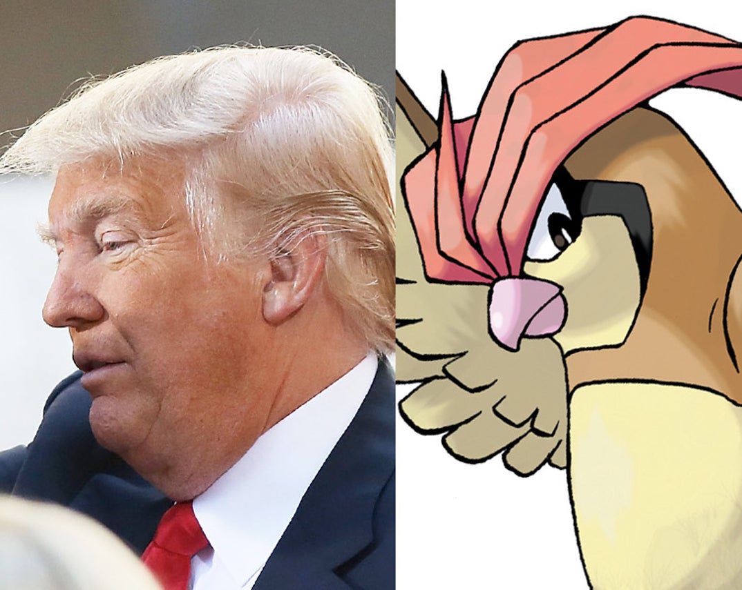 Donald Trump -- Pidgeotto