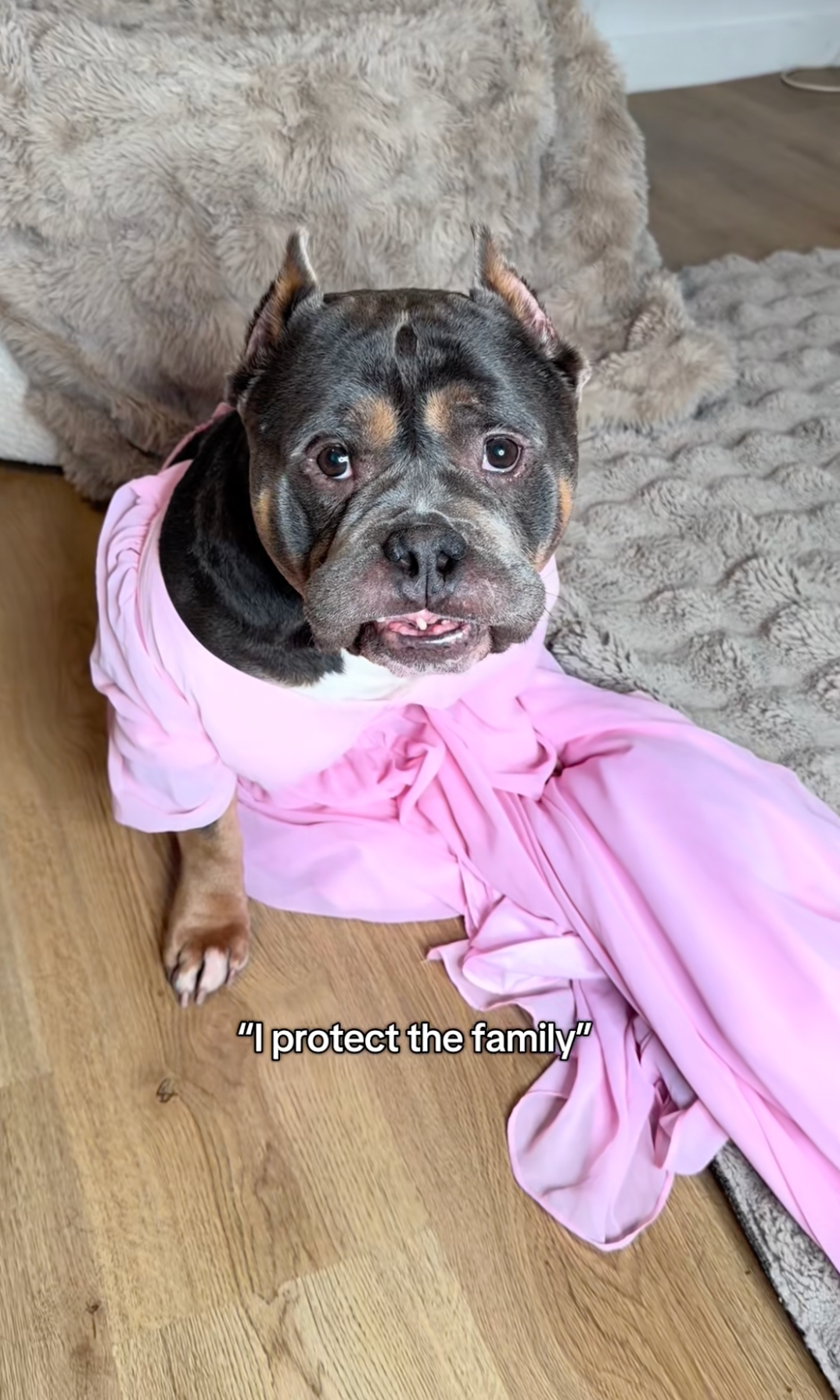 Screenshot 2025-12-25 at 5.44.57 AM