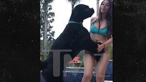 Instagram Model Fires Back in Dog Sexual Assault Suit, Blames Owner