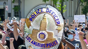 LAPD Sued By Arrested Protester Who Claims Brutal Treatment